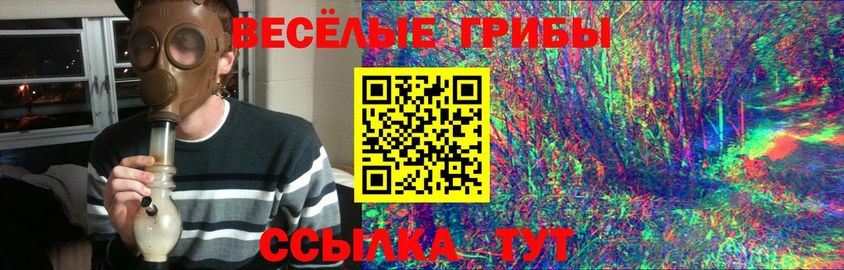 Мурино  Галлюциногенные грибы Psilocybe  Галлюциногенные грибы GOLDEN TEACHER  Вход с VPN 